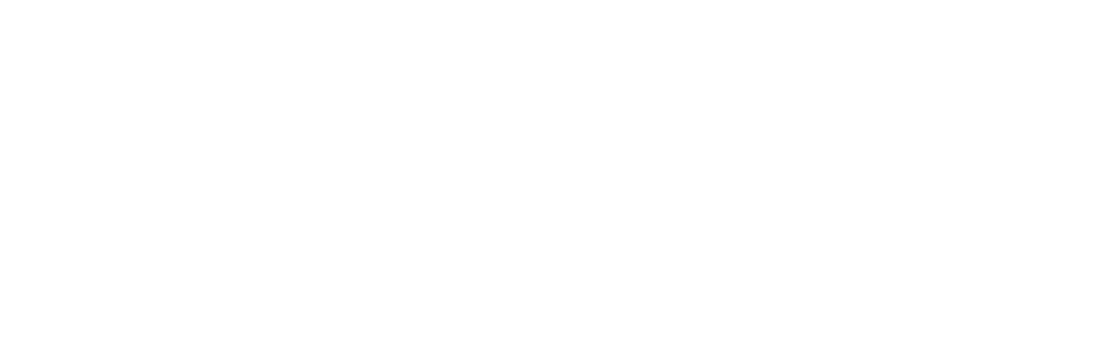 FibreAsia Logo